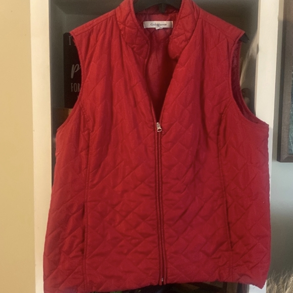 🎉 4 for $10 item: Red Polyester Vest - Picture 1 of 1